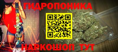 сатива Будённовск