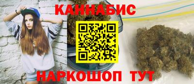 сатива Будённовск