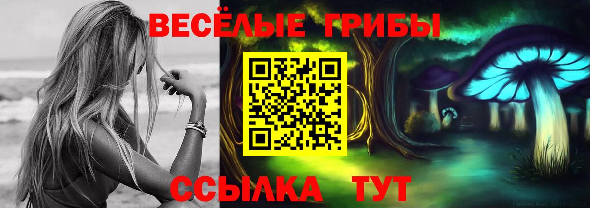 Славянск-на-Кубани  Псилоцибиновые грибы Psilocybe  Псилоцибиновые грибы Magic Shrooms  Вход с VPN 